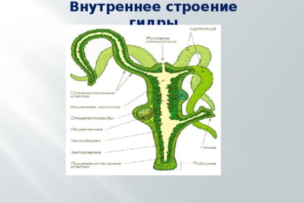 Как попасть на сайт кракен