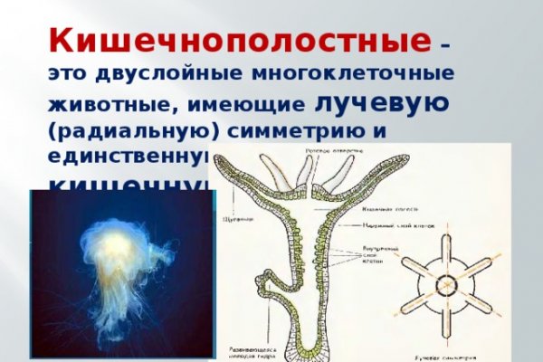 Вход кракен код